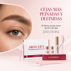 Kit de Laminado de Cejas